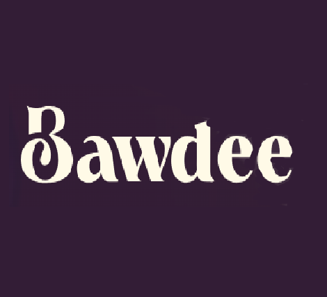 Bawdee Codes